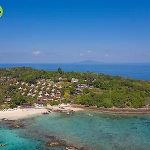 The Phi Phi Don